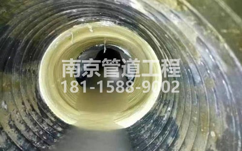 苏州路树脂修复